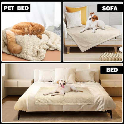 furrybaby Dog Blanket Soft Dog Blankets for Small Dogs Puppy Essentials Washable Fluffy Sherpa Fleece Cat Blanket 24x32 Inches for Bed Furniture Couch Sofa (Double-Layer Small