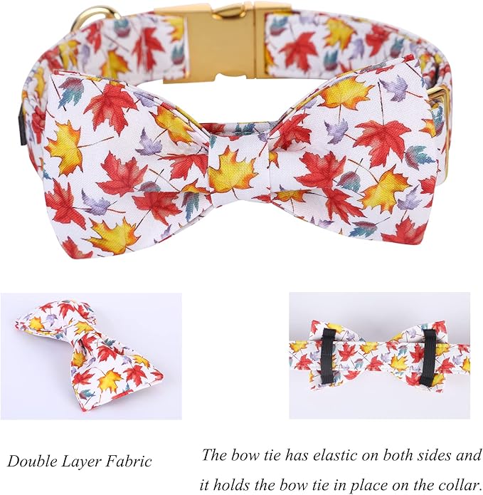 Lionet Paws Dog Collar with Bowtie 10-16in