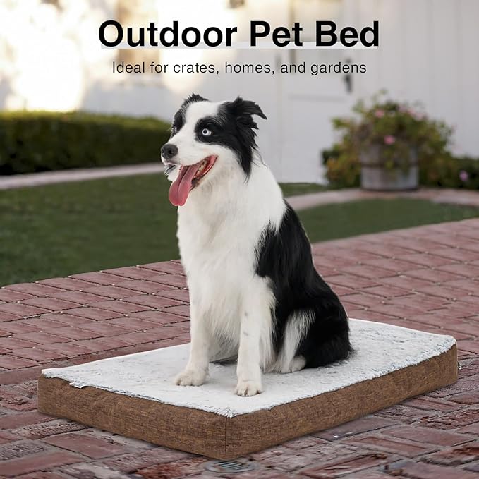 Dog Beds 70 lbs