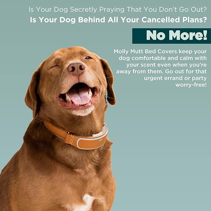 Molly Mutt Medium To Large Dog Bed Cover 27”X36”X5’’- 100%