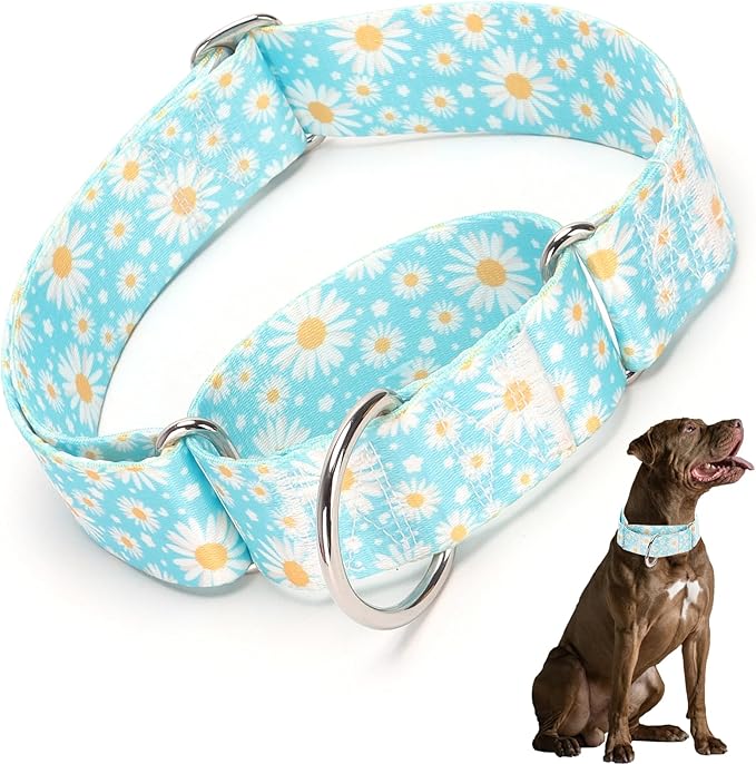 Martingale Collar 1.5 Inches Wide Dog Collar