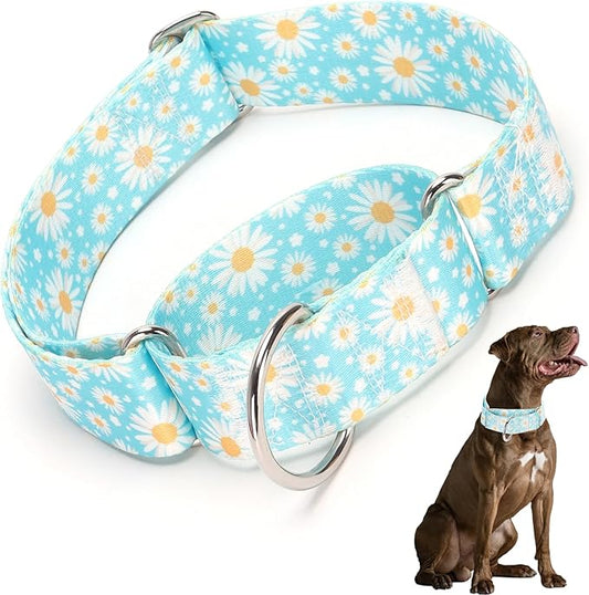 Martingale Collar 1.5 Inches Wide Dog Collar