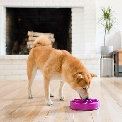 Outward Hound Fun Feeder Slo Bowl, Slow Feeder Dog Bowl, Medium/Mini, Purple