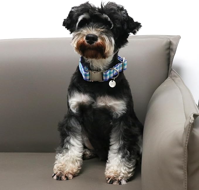 Blue Plaid Summer Cotton Dog Collar with Metal