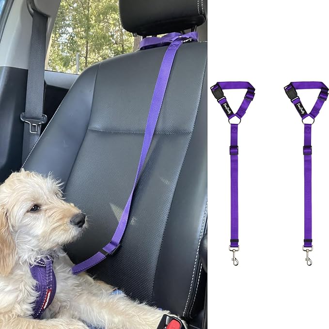 PawsPawty 2 Pack Headrest Dog Car Safety Seat 2-in-1 Leash