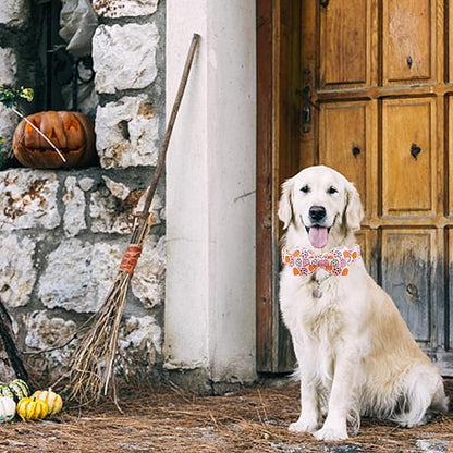 Lionheart glory Fall Dog Collar with Bowtie Halloween
