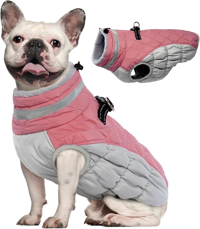 Dog Winter Coat