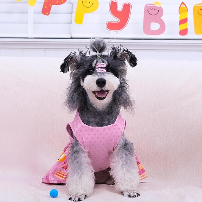 CuteBone Birthday Dog Dresses Velvet Holiday Small Dogs Clothes Onesie Pet Apparel Girl Puppy Skirt with Bow Hair Rope CVA49S-D