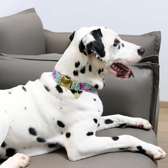 Tie Dye Summer Cotton Dog Collar with Metal