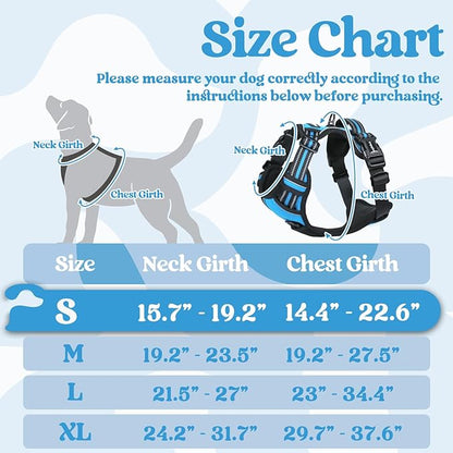 rabbitgoo Dog Harness Small Sized, No Pull Pet Harness with 3 Buckles, Adjustable Soft Padded Dog Vest with Instant Control Handle, Easy Walking Reflective Pet Vest for Small Dogs, Sky Blue, S