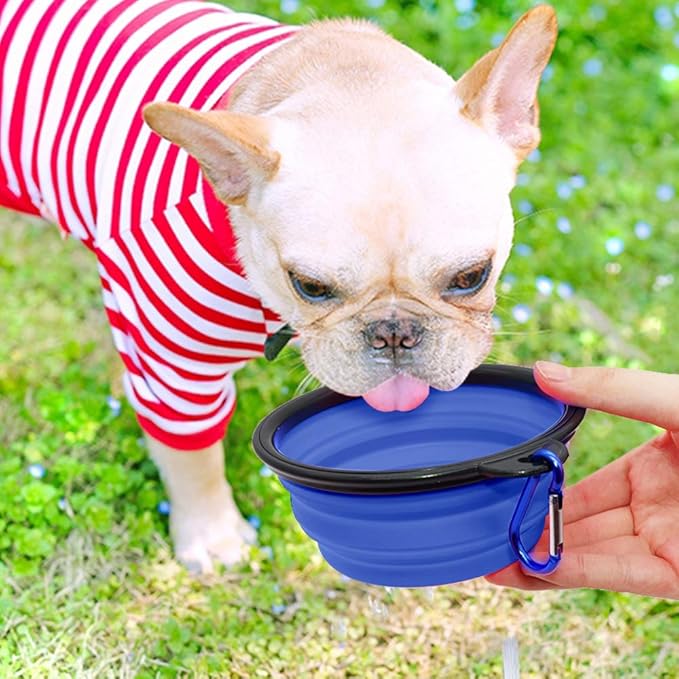 Dog Bowl Pet Collapsible Bowls, 2 Pack Collapsible Dog Water Bowls for Cats Dogs, Portable Pet Feeding Watering Dish for Walking Parking Traveling with 2 Carabiners (Small, Blue+Red)