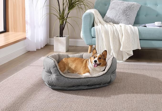 Canine Creations Cozy Pet Bed by Arlee Home & Pet Orthopedic Eco-Friendly Oval Durable Chew Resistant Washable Pet Bed for Medium and Large Large Dogs