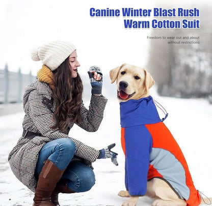 Dog Cold Weather Coat