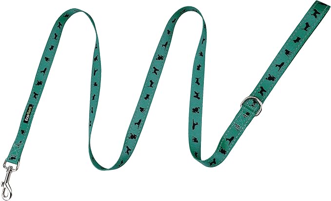 EcoBark Dog Leash - 4 FT / 5 FT / 6 FT Reflective Dog Leash- Eco-Bright Dog Leashes with Padded Handle - Strong Heavy Duty Dog Leash - Nylon Dog Leash for Small & Medium Dogs (Forest Green Dog Leash)