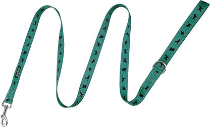 EcoBark Dog Leash - 4 FT / 5 FT / 6 FT Reflective Dog Leash- Eco-Bright Dog Leashes with Padded Handle - Strong Heavy Duty Dog Leash - Nylon Dog Leash for Small & Medium Dogs (Forest Green Dog Leash)