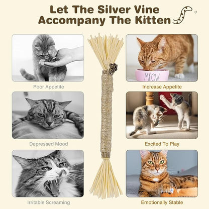 4 Pack Silvervine Sticks for Cats - Cat Chew Toy for Teeth Cleaning, Edible Matatabi Kitty Chew Sticks, Catnip Cat Toys for Indoor Cats (4 Sticks)