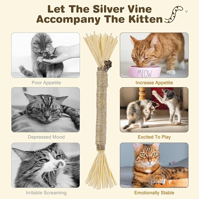 8 Pack Silvervine Sticks for Cats - Cat Chew Toy for Teeth Cleaning, Edible Matatabi Kitty Chew Sticks, Catnip Cat Toys for Indoor Cats (8 Sticks)