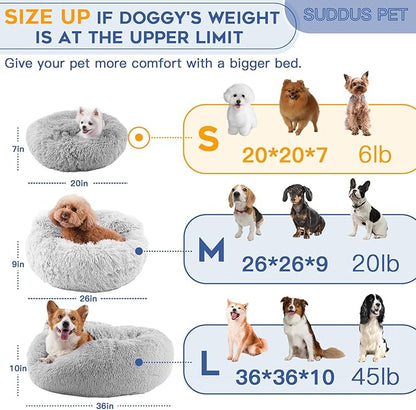 suddus Small Dog Bed with Blanket Attached 20''
