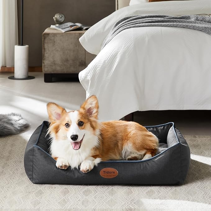 Orthopedic Dog Beds for Medium Large Dogs