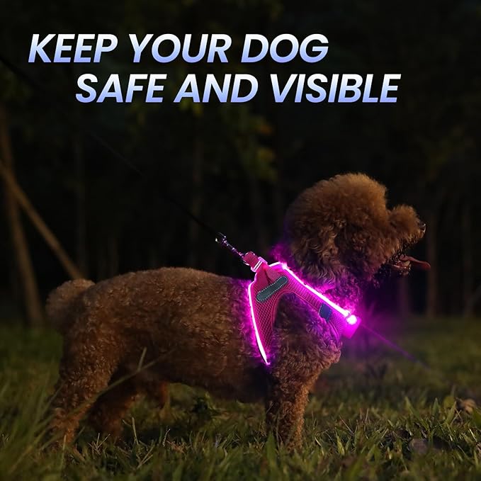 PcEoTllar Light Up Dog Harness, LED Dog Harness for Puppy Small Medium Dogs, Rechargeable No Pull Reflective Dog Harness, Flashing Lighted Dog Harness for Night Walking (Pink,M)