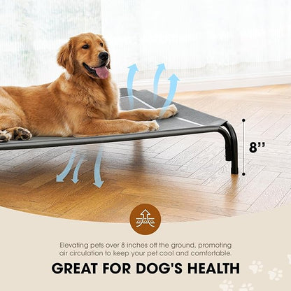 Elevated Dog Bed