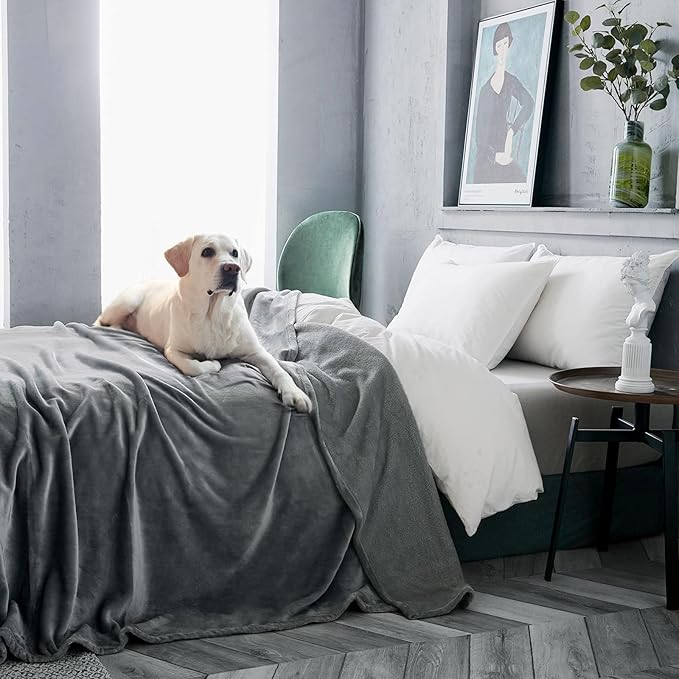 Veehoo Fluffy Fleece Dog Blanket 30x25 inch