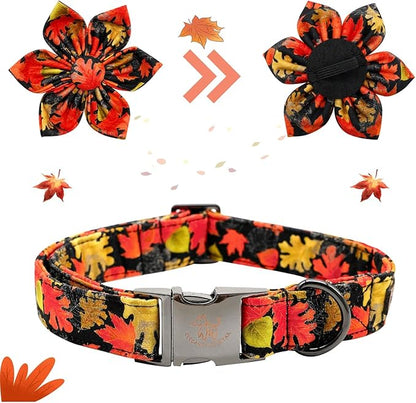 Elegant little tail Dog Collar with Flower