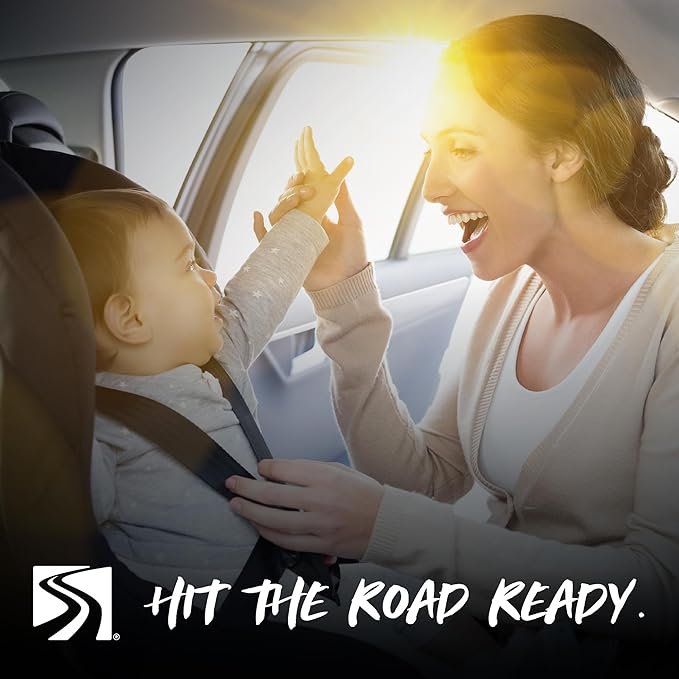 Pet Seat Cover for Your Back Seat and Durable Dog Car Hammock 53" X 41.5" to