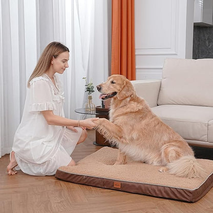 Orthopedic Dog Bed for Large Dogs Removable Bolsters & Washable Cover 65 lbs