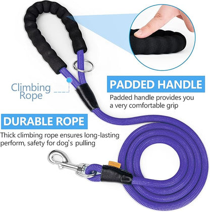 Dog Leash ((1/2") - 6FT, Purple)