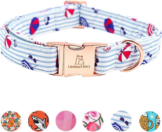 Lionheart glory Dog Collar