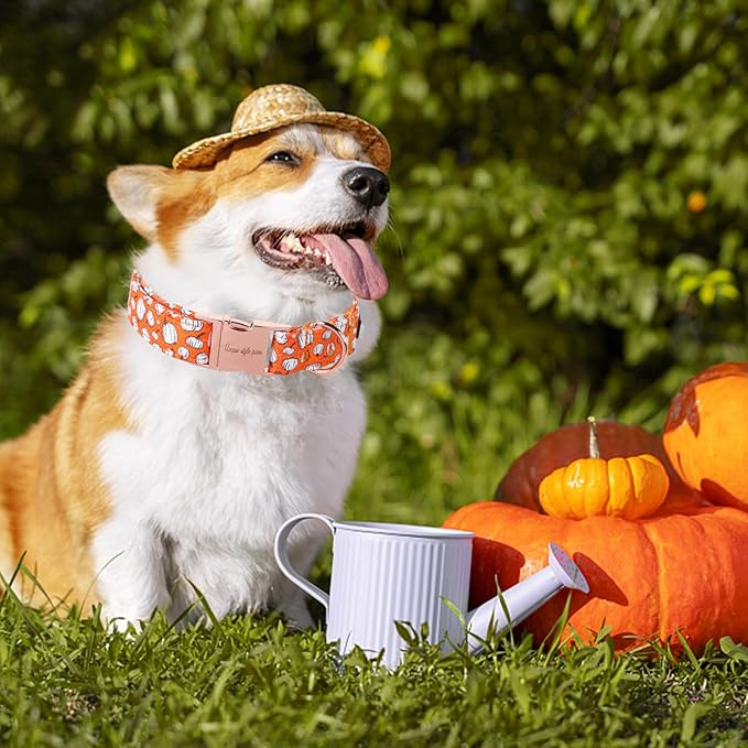 Unique style paws Dog Collar Metal Buckle Collar
