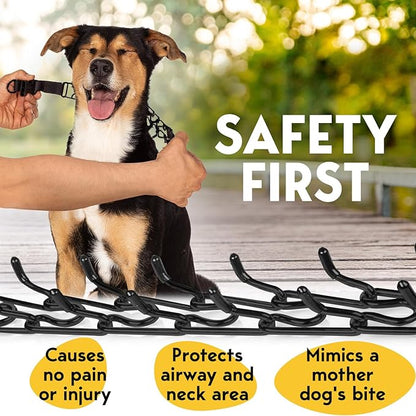 Adjustable No Pull Dog Traning Collar with Buckle