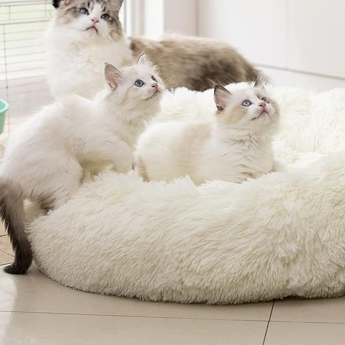 Geizire Dog Bed for Small and Medium Dogs