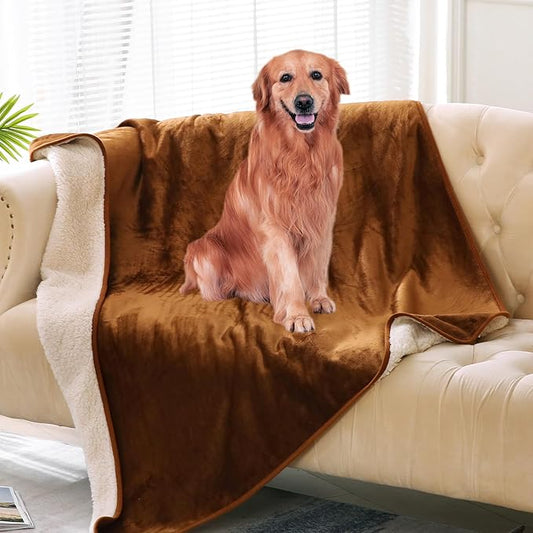 DaysU Waterproof Dog Blanket for Small Dogs 50"x60" Brown