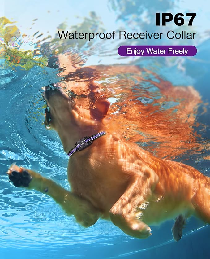 Bousnic Dog Shock Collar 3300Ft Training 5-120lbs Small (1-8), Shake(1-16), Shock(1-99) Modes