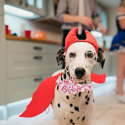 Lionheart glory Premium Halloween Dog Collars Flower Dog