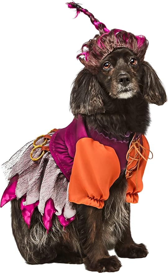 Rubie's Disney Hocus Pocus Mary Sanderson Pet Costume