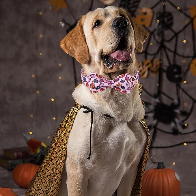 ARING PET Halloween Dog Collar-Cute Pink Pumpkin Dog Collar with Bow