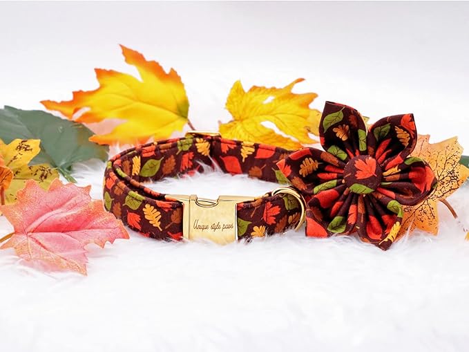 Unique style paws Fall Dog Collar with Bow