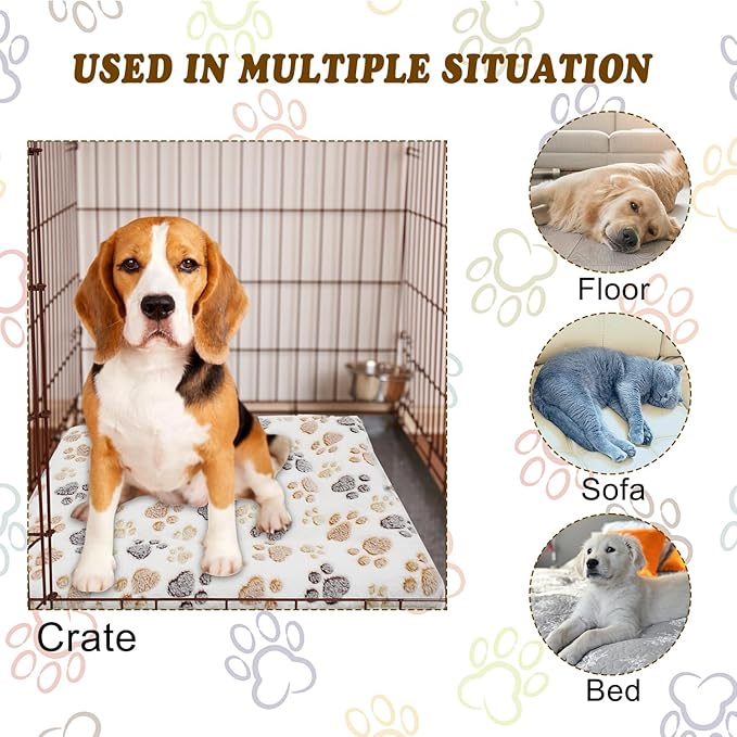 Cat Dog Bed Mat & Blanket