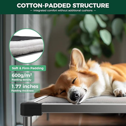 FXW Titanest Dog Bed: Built to Last 15 Years 50inch │Patent