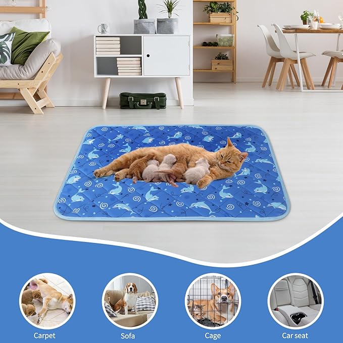 IEUUMLER Washable Pee Pads for Dogs 2 Pack EU007 (Dolphin, 42"X28"-2pcs)