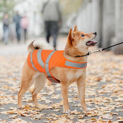 Kuoser Reflective Dog Vest, High Visibility Dog Safety Vest for Medium Large Dogs, Pet Reflective Jacket Orange Dog Vest to Keep Your Dog in Sight and Safe from Hunting, Training, Cars Accidents, M