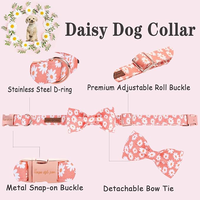 Unique style paws Dog Collar with Bow Tie