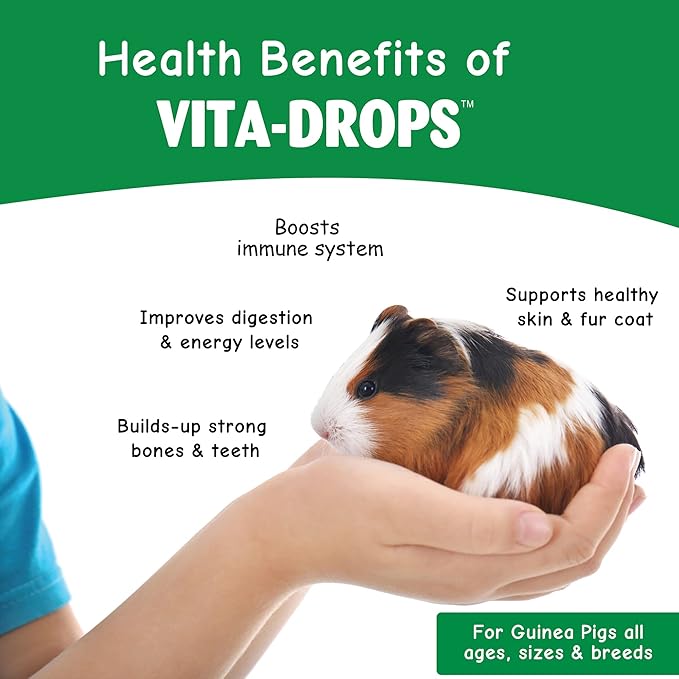 OASIS #80069 Guinea Pig Vita-Drop Vitamins, 16-Ounce liquid multivitamin with Vitamin C