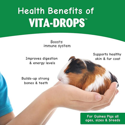 OASIS #80069 Guinea Pig Vita-Drop Vitamins, 16-Ounce liquid multivitamin with Vitamin C