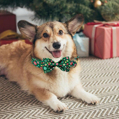 Christmas Day Dog Collar with Bow Red Green
