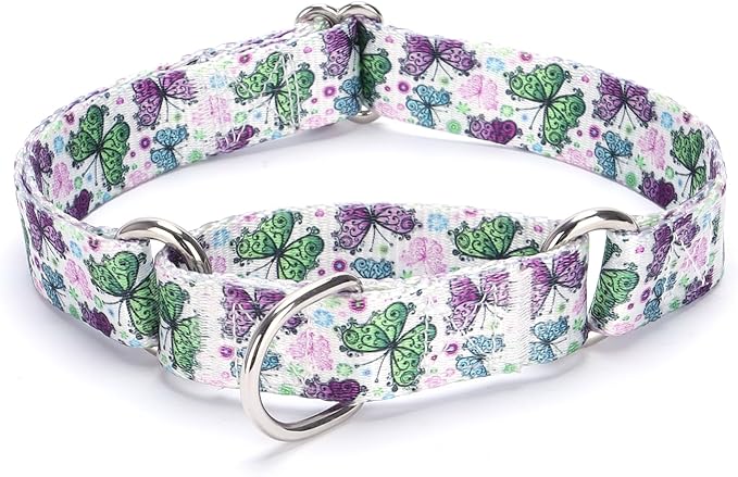 Martingale Dog Collars Purple1)