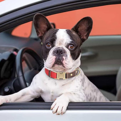 Didog Soft Padded Leather Dog Collars for Medium Dogs